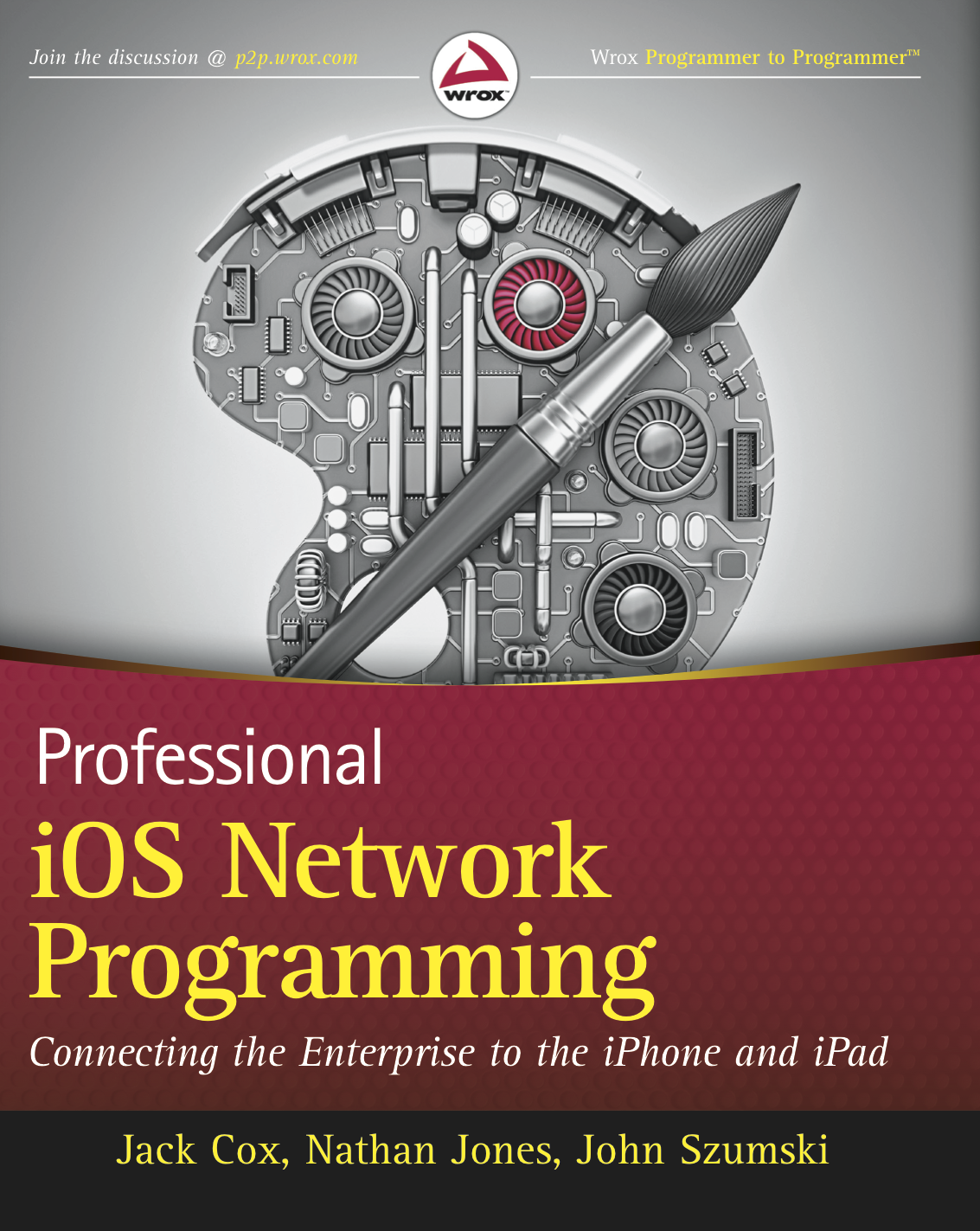 Professional iOS Network Programming